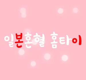 출장마사지 일본혼혈홈타이 24시 수도권 전지역 출장 가능