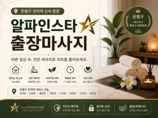 은평구 출장마사지 알파인스타 연신내 불광 …